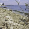 Ukraina: jūros pakrantėje sprogo kelios audros atneštos minos, yra sugriovimų