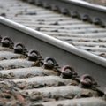 Lithuanian Railways under EC anti-trust scrutiny over dismantling track to Latvia