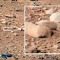 Atrastas dar vienas Marso „faunos“ egzempliorius