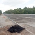 Vairuotojus įspėja būti budrius: eismas Vilainių tiltu vyksta su apribojimais, tęsiami statybos darbai