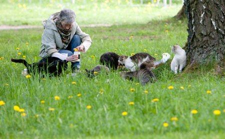 Moteris rūpinasi katinais Vilniaus Vingio parke