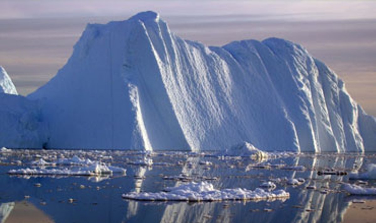 Atskilęs ledkalnis dreifuoja Jakobshavno fjorde, Pietvakarių Grenlandijoje. Grenlandijos ledo masyvas tirpsta žymiai sparčiau negu mokslininkai tikėjosi, teigiama ketvirtadienį išplatintame pranešime. Ypatingai tirpimas pagreitėjo pastaraisiais metais.