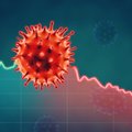 Коронавирус в Литве: 251 новый случай коронавируса, летальных исходов нет
