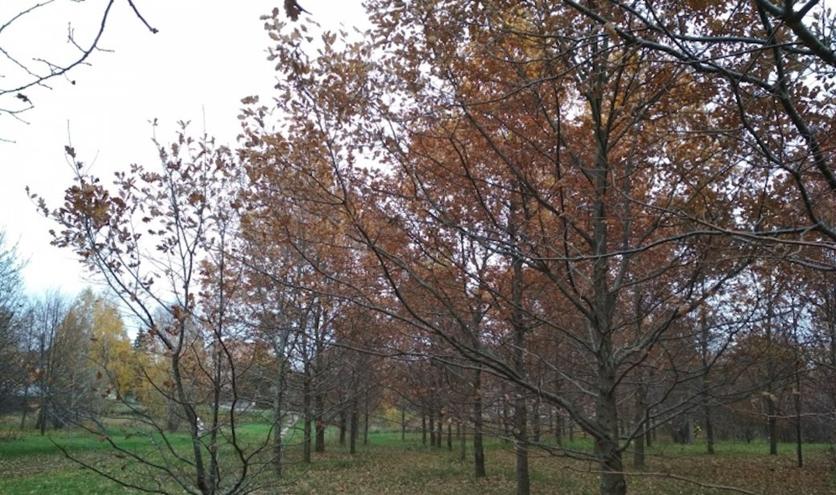 Eibariškių parkas