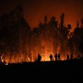 Miškų gaisrai Čilėje nusinešė mažiausiai 22 žmonių gyvybes