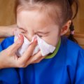 Pirmieji šio gripo sezono ženklai signalizuoja ir apie jau dvejus metus nematytą jo rimtumą