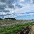 Правительство одобрило проект строительства забора на границе с Беларусью: реализация - не позднее 2022 года