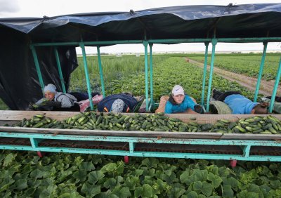 Baltarusijos žemės ūkis