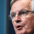 Barnier: ES palaikys Airiją bet kokio „Brexit“ scenarijaus atveju