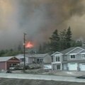 Vakarų Kanadoje siaučia miškų gaisrai