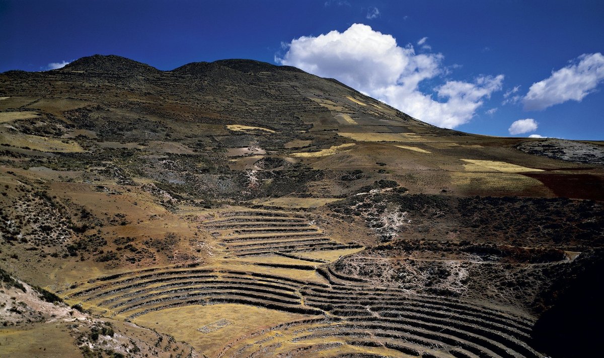 Inkų terasos
