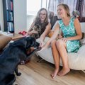 Puikus metas šuns dresavimui namuose: dresuotoja išskyrė didžiausias klaidas ir pagrindines taisykles naujokams