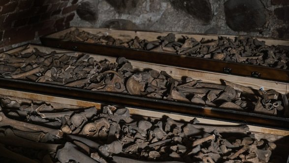 Remains discovered during the renovation of Vilnius University