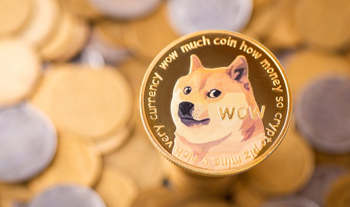 Nugaišo šuo Kabosu – garsus „Doge“ memo veidas ir Elonui Muskui patikusios kriptovaliutos įkvėpėjas