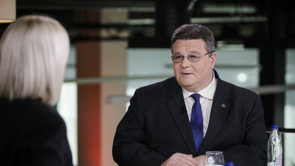 If citizenship referendum fails, "plan B" is to prepare for new one, Lithuania's formin says