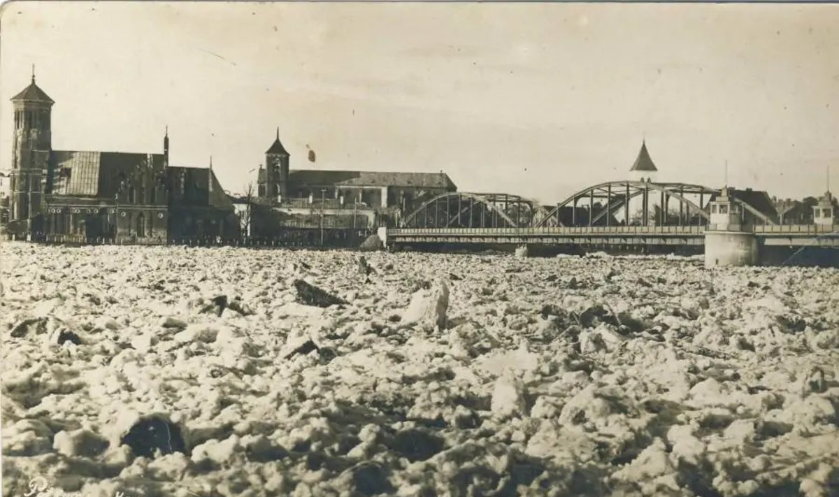 Kauno potvynis, 1931 m.