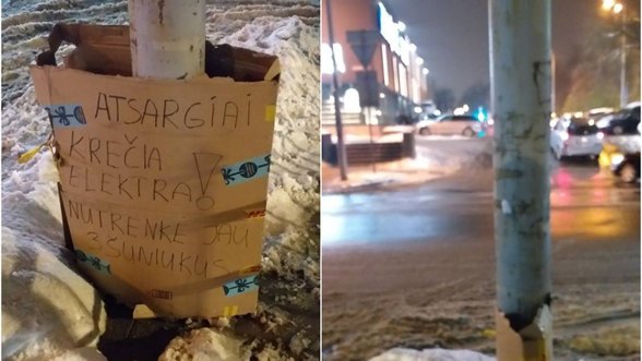 Prie elektros stulpo Vilniuje šunys krenta be sąmonės: perspėja saugoti savo augintinius