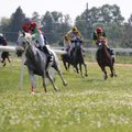 Didžiosios žirgų lenktynės Raseinių hipodrome 2016-07-16