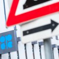 „Biržos laikmatis“: naftos kaina kyla toliau