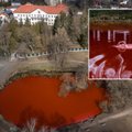 Вода в пруду около российского посольства окрасилась в кровавый цвет