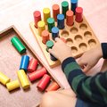 Kas yra Montessori žaislai ir kodėl jie pravers kiekvienam vaikui?