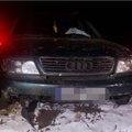 Gaudynės Šalčininkų rajone: girtą vairuotoją sulaikė pasienietis su šunimi