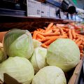 Populiari ir pigi daržovė – neįtikėtinai vertinga: kopūstai mažina antsvorį, neleidžia kauptis cholesteroliui, bet kartais gali ir pakenkti
