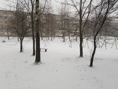 Snigas Klaipėdoje. Foto / Renata Levickienė