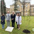 Vilniaus psichiatrijos ligoninėje atnaujintas Alzheimerio ligos skyrius ir pasodintos sakuros