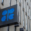 OPEC prognozuoja, kad naftos paklausa 2024 m. išaugs