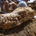 Tokios fosilijos mokslininkai dar nebuvo radę: vidury laukų paleontologai aptiko itin reto jūrų monstro skeletą su visa kaukole