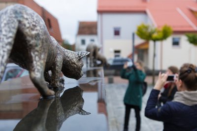 E. Bareikos nuotr. Garsiosios Marijampolės katės pildo norus