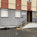 Kauno r. vandalas nusitaikė į policijos komisariatą: apgadino žaliuzes, duris ir pašto dėžutę