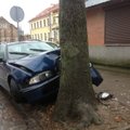 BMW vengė autobuso: rėžėsi į medį ir keistai įstrigo