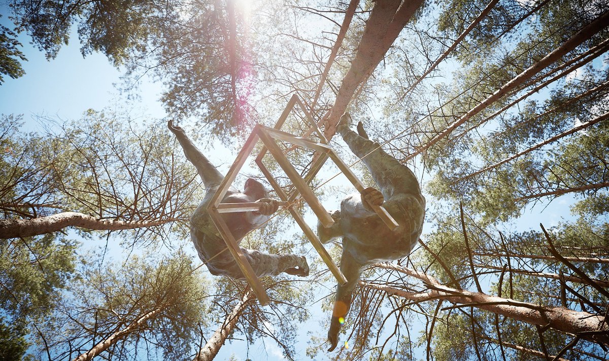 Jerzy Kedziora. Balansas medžių viršūnėse Europos parke