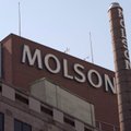 JAV ir Kanados aludarė „Molson Coors“ patyrė stiprią kibernetinę ataką