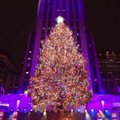 Niujorke įžiebta Rokfelerio Kalėdų eglė