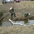 Radiniai upelyje ant kojų sukėlė specialiąsias tarnybas