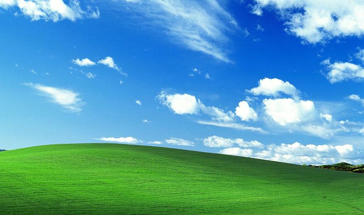 Kultinis "Windows XP" darbastalio paveikslėlis