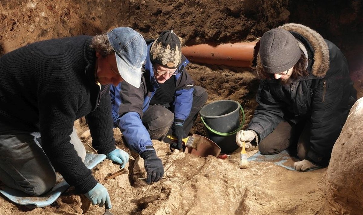 LNM archeologai (iš kairės G. Grižas, V. Steponaitis, G. Petrauskas)