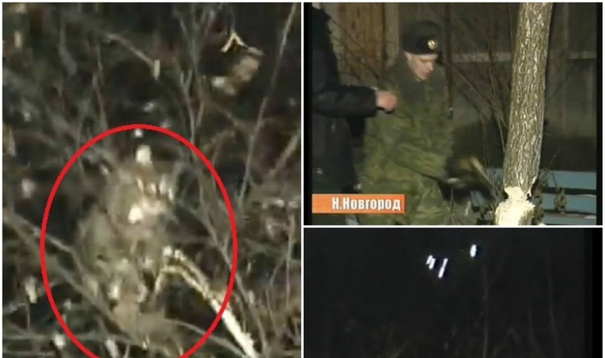 Rusijos daugiabučio gyventojai gelbėja katiną iš medžio