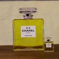 Renkamas pagrindinio žymiųjų „Chanel“ kvepalų ingrediento derlius
