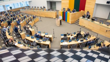 Po fiasko dėl pirmalaikių rinkimų – negailestinga kritika Landsbergiui: jis nesuvokia tikrovės