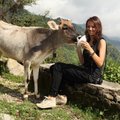 Filmo „Šventa karvė“ komandos nariams - neeilinės problemos su karvėmis Indijoje