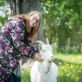 Vilniečių pora gyvenimą mieste išmainė į kaimą: melžti ožkas ir pjauti vištas mokosi iš „Youtube“