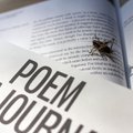 Naujasis „Poem as a Journal“ aiškinasi, kokią vietą mūsų gyvenime užima poezija