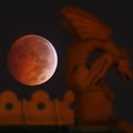 „Kruvinas mėnulis“ prikaustė dangaus stebėtojų Amerikoje ir Azijoje žvilgsnius