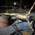 „Išneškite šiukšles“: galutinai suniokota tik spalį atidengta Ibrahimovičiaus skulptūra