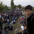 Įspėja dėl pabėgėlių srautų: 160 tūkst. – ne pabaiga