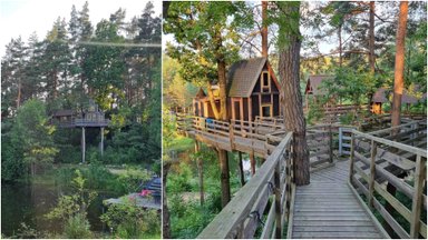 Planas savaitgaliui: netoli Vilniaus atidarytas nemokamas namukų medžiuose parkas
